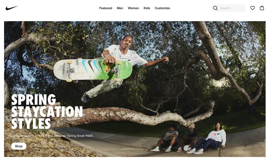 Nike SB still