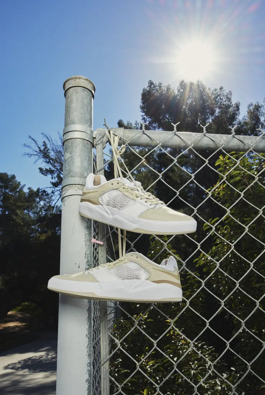 Nike SB still